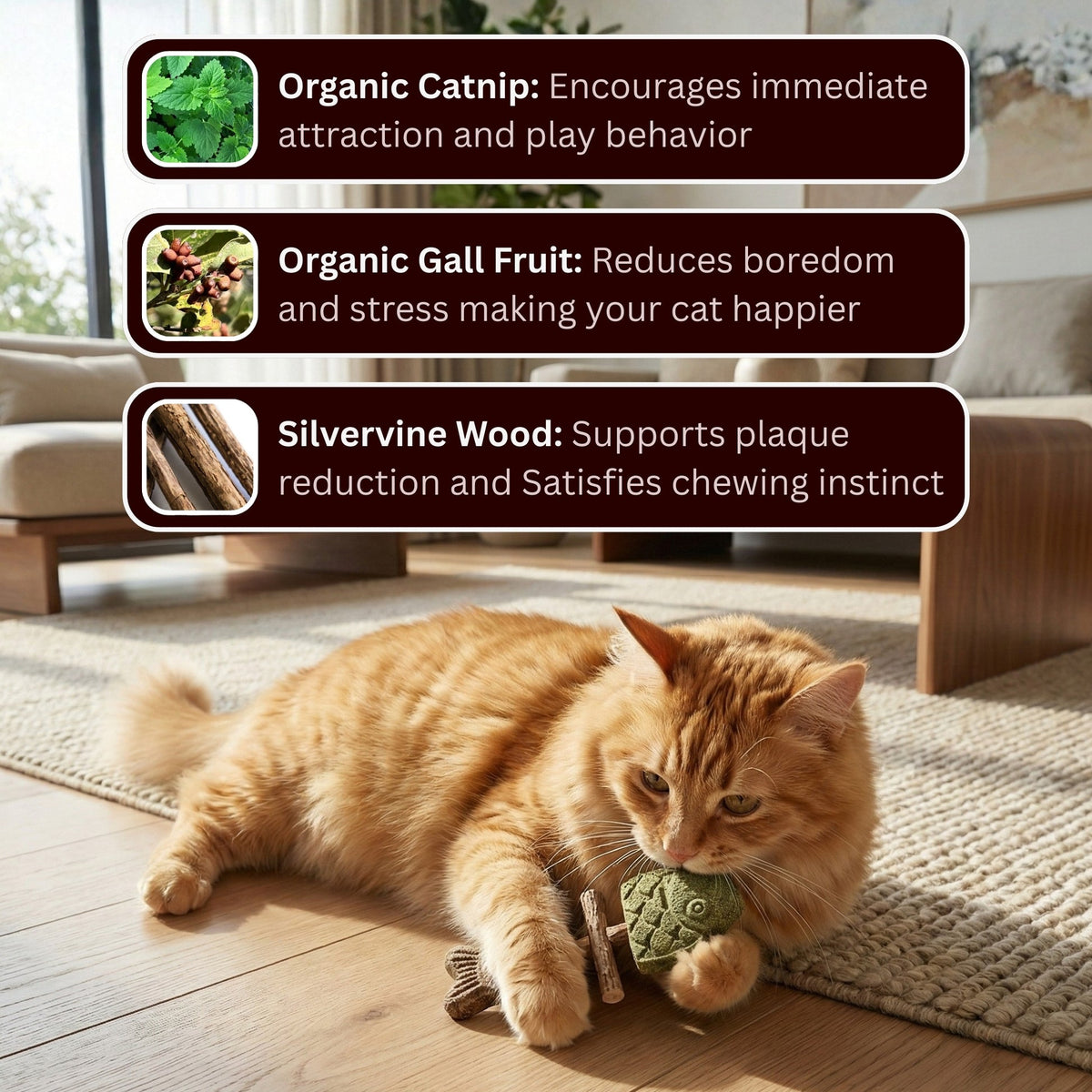 Catnip & Silvervine Chew|🔥 LAST DAY SALE!  50% OFF