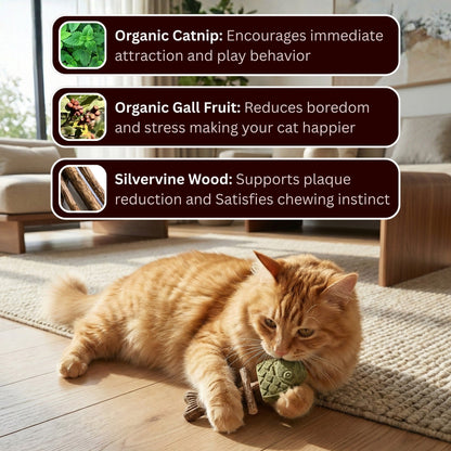Catnip & Silvervine Chew|🔥 LAST DAY SALE!  50% OFF