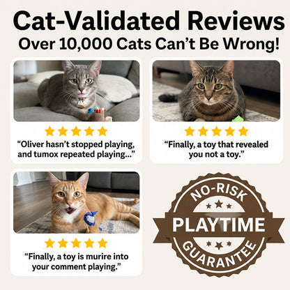 🎁LAST DAY SALE ! 50% OFF—Say Goodbye to Boredom: The Wind-Up Mouse That Drives Cats Wild! 🐭💥
