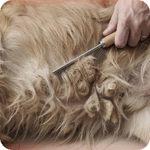 Stubborn mats and tangled pet fur